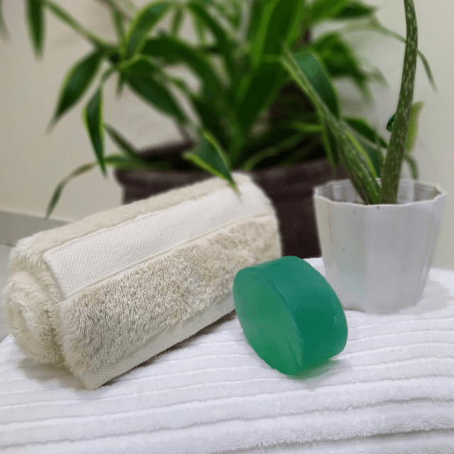 Natureza Simple Handmade Aloe Fresh Transparent Soap 120g