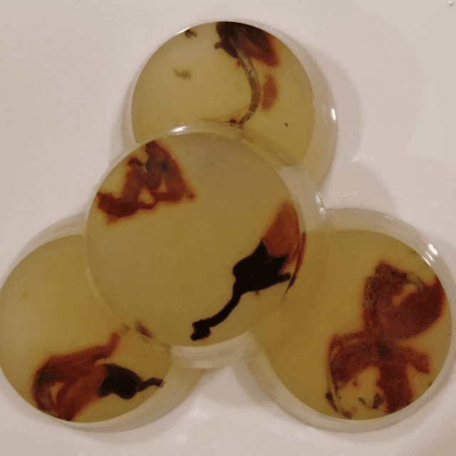 Palash tesu Handmade Glycerin Transparent Organic Soap 95g